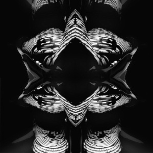 Photomacchie   -      (Libera  interpretazione dei test di Rorschach)  © 2011   