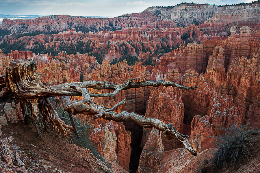 Bryce canyon, Utah, USA
