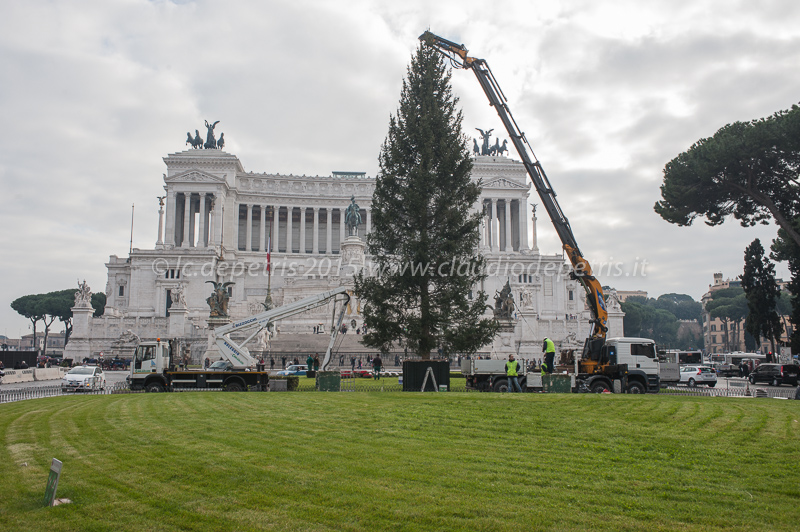 Allestimento alberi di Natale piazza Venezia e Colosseo, 3/12/2015