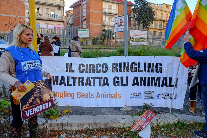 Presidio degli Animalisti Italiani contro l'impiego degli  animali nei circhi, 13/12/2015 